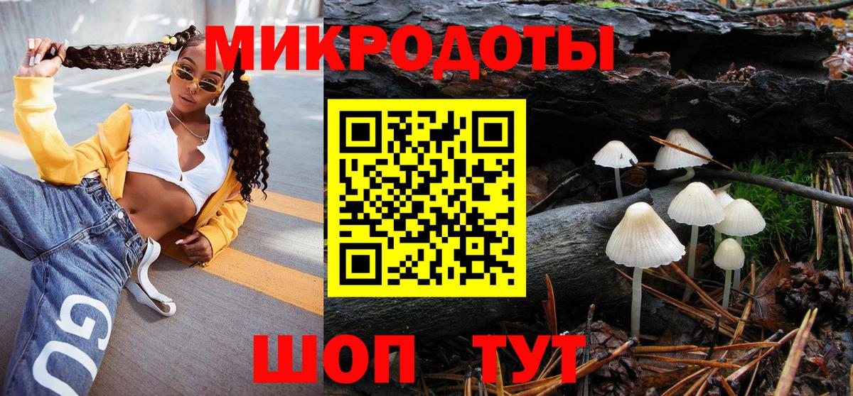 Галлюциногенные грибы Psilocybine cubensis Сертолово