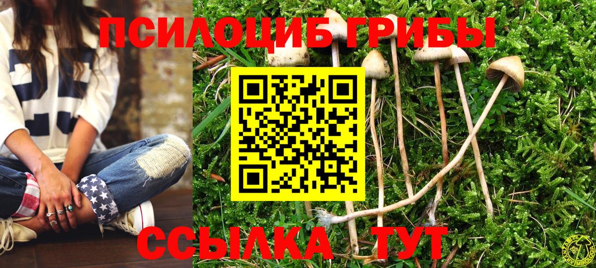 Псилоцибиновые грибы Psilocybine cubensis  Псилоцибиновые грибы GOLDEN TEACHER  Вход с VPN  Сертолово 